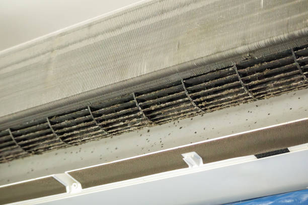 Trusted Bellerose, NY Airduct Cleaning Experts